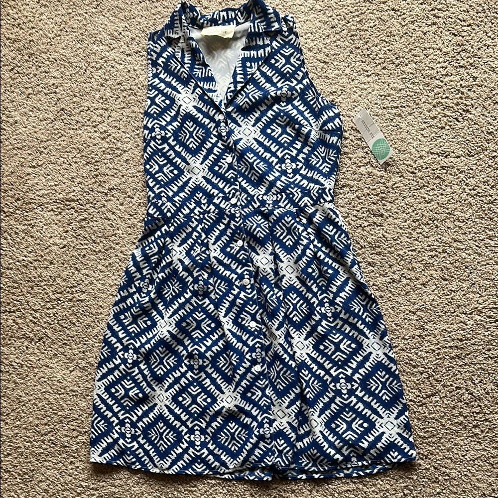 Blue and White Women’s Dress